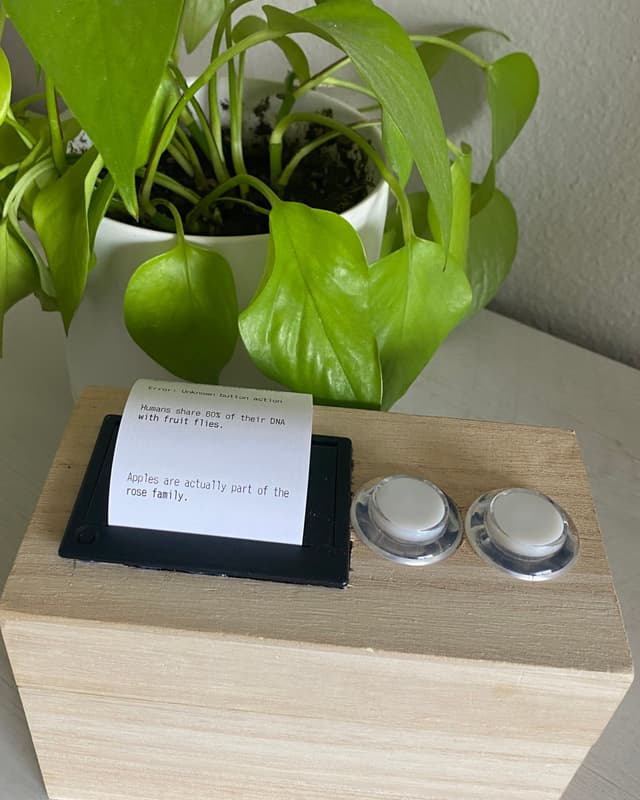 Tio (coming soon) photo 1